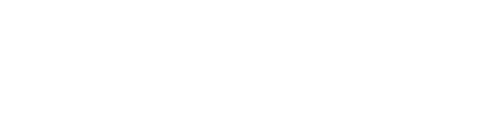 Website 1003